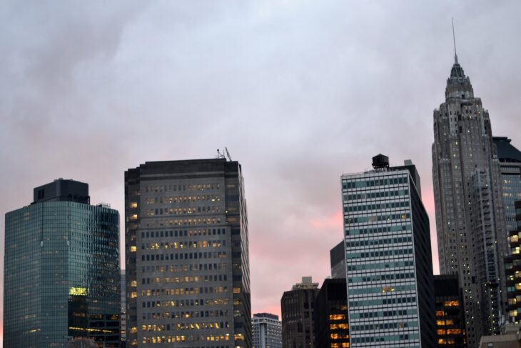 VIEW FROM BROOKLYN BRIDGE